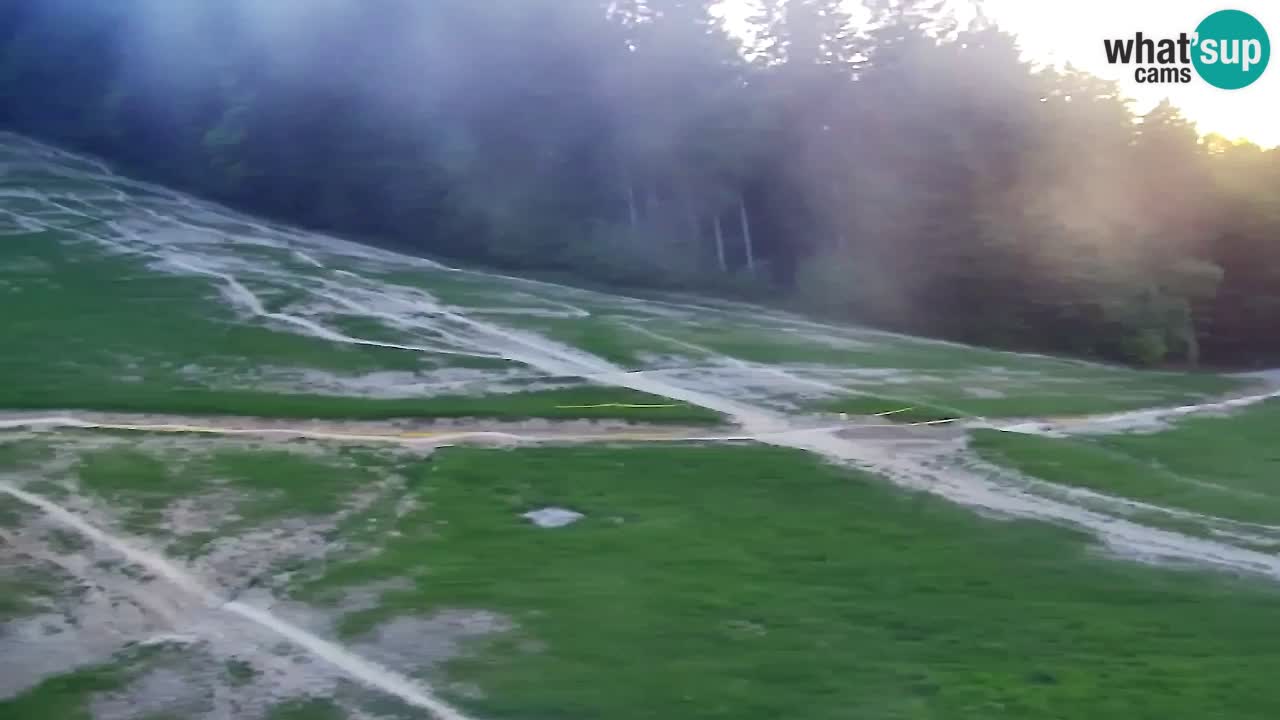 Webcam Pohorje Trikotna Jasa | Poštela