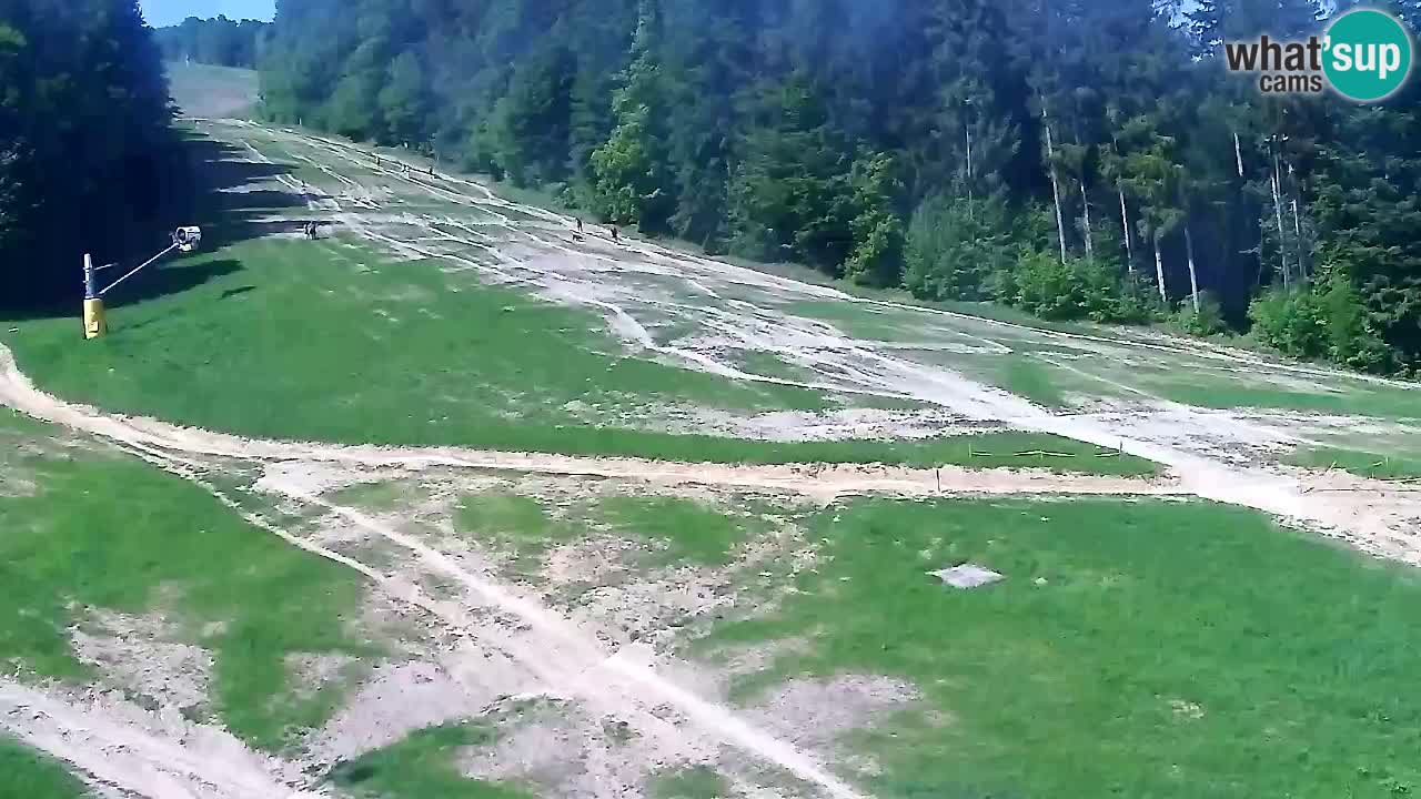 Webcam Pohorje Trikotna Jasa | Poštela