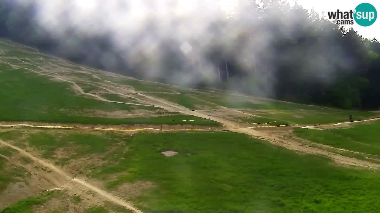 Webcam Pohorje Trikotna Jasa | Poštela