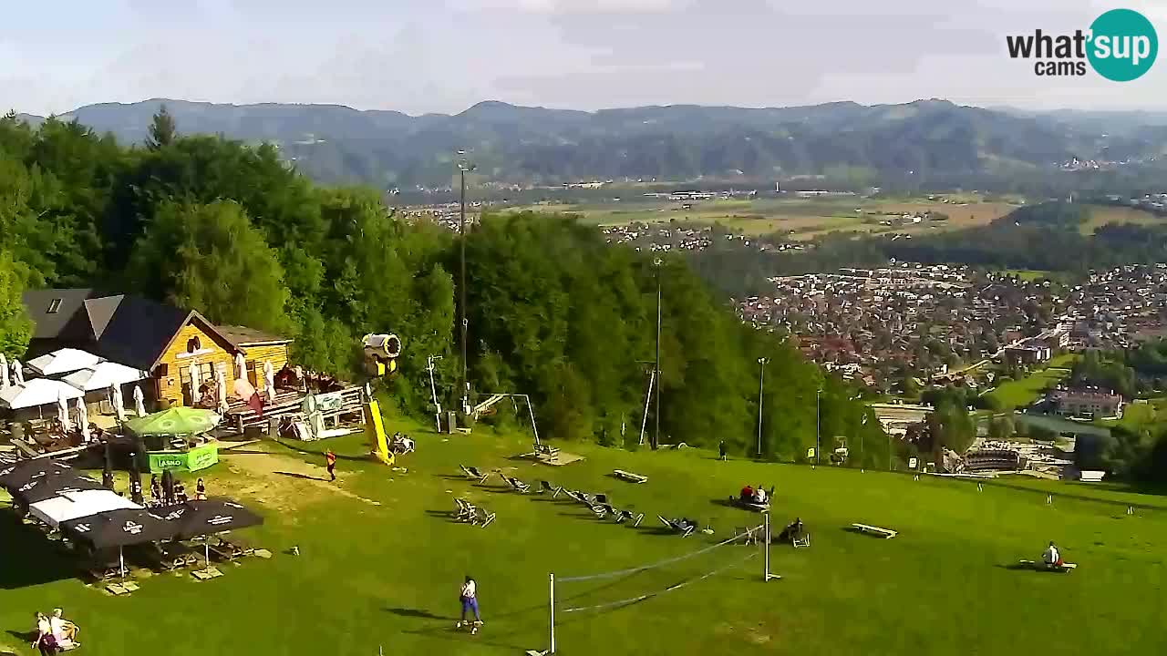 Web Camera Pohorje Trikotna Jasa | Poštela