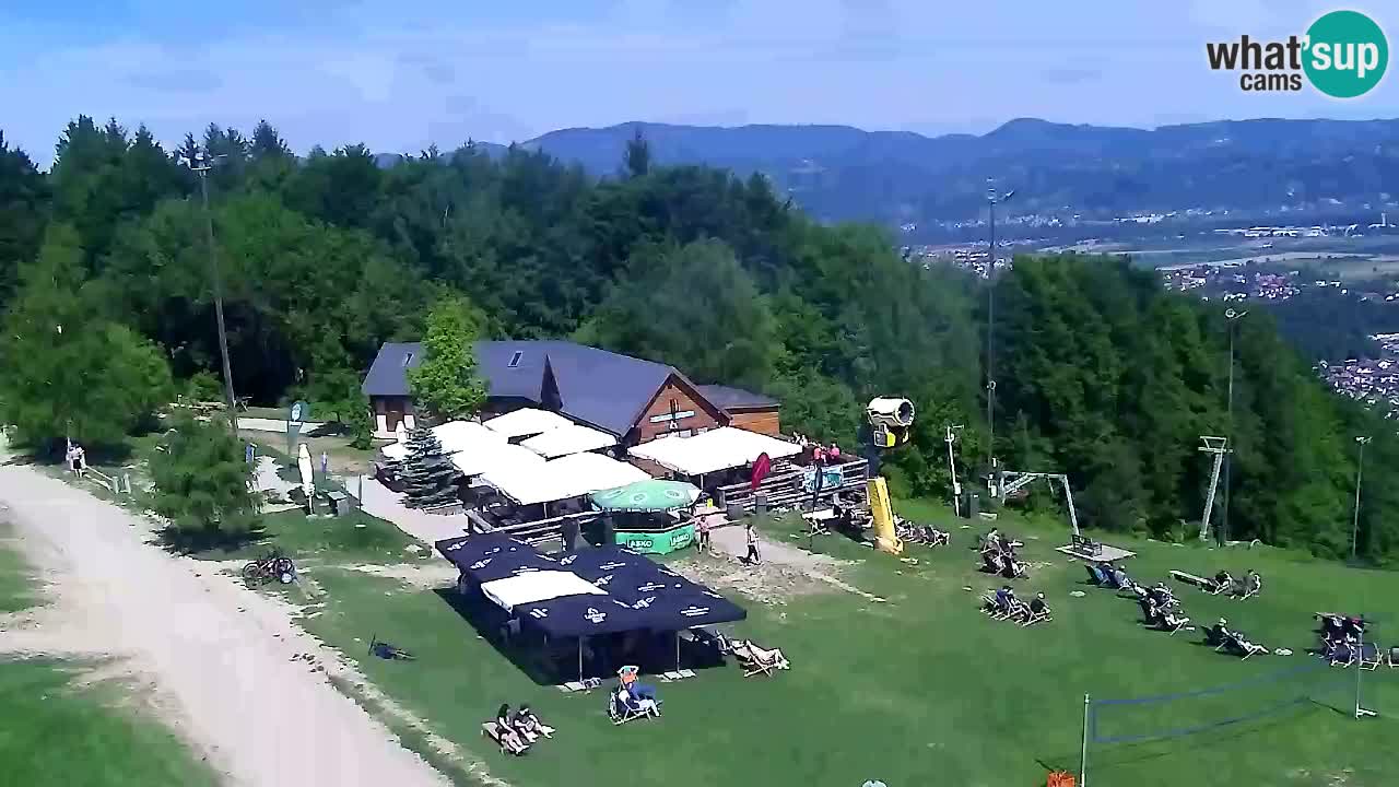 Web Camera Pohorje Trikotna Jasa | Poštela