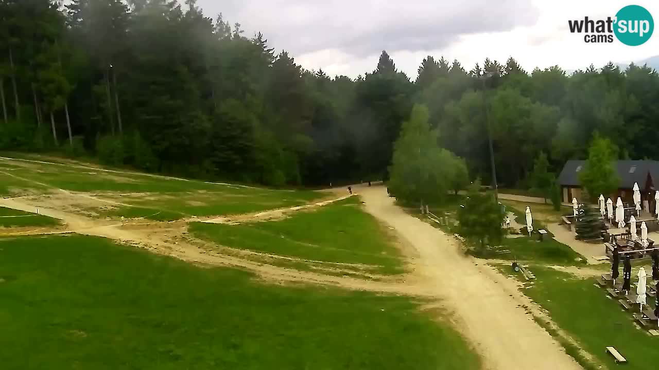 Webcam Pohorje Trikotna Jasa | Poštela