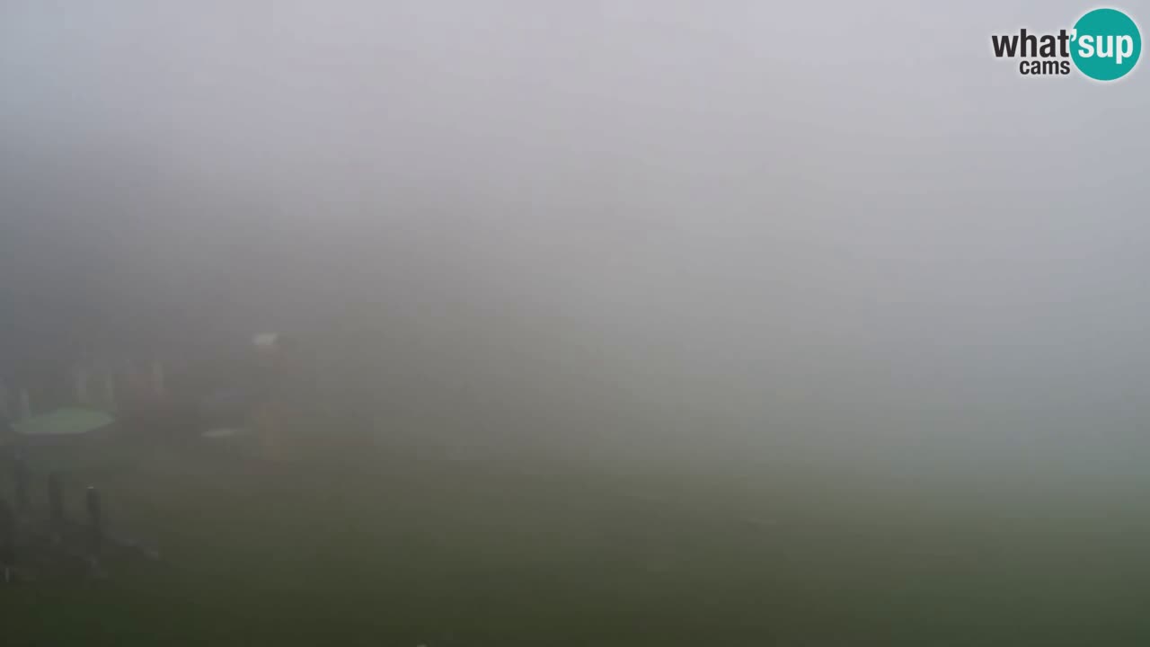 Webcam Pohorje Trikotna Jasa | Poštela