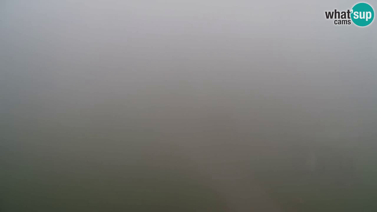 Webcam Pohorje Trikotna Jasa | Poštela