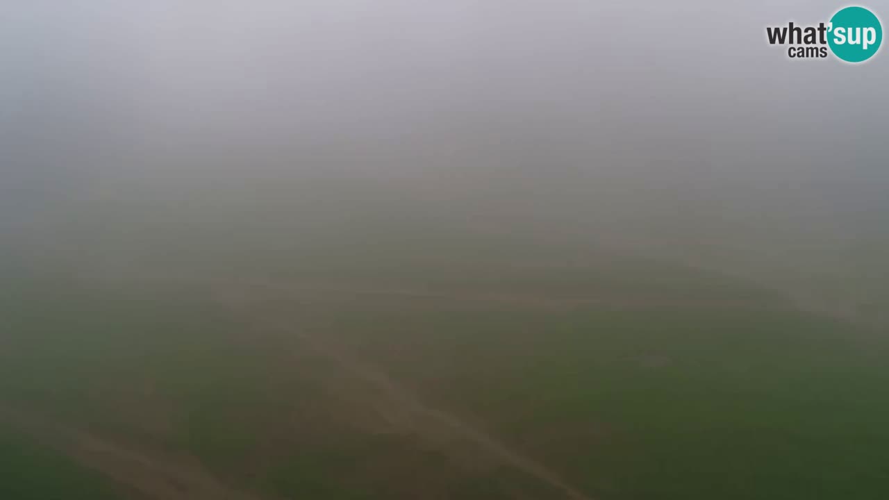 Webcam Pohorje Trikotna Jasa | Poštela