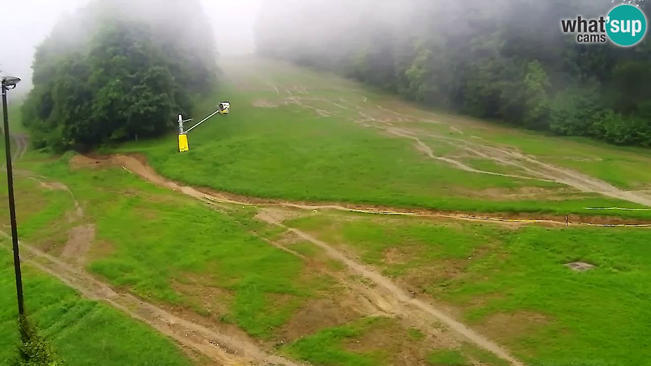 Webcam Pohorje Trikotna Jasa | Poštela