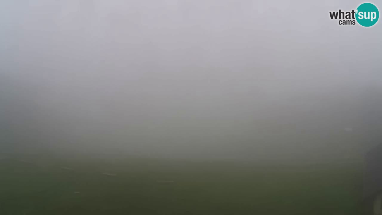 Webcam Pohorje Trikotna Jasa | Poštela