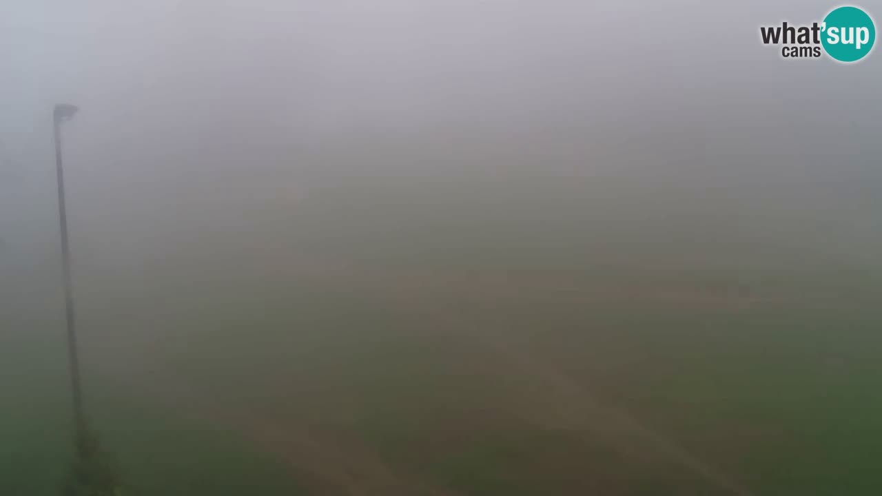 Webcam Pohorje Trikotna Jasa | Poštela