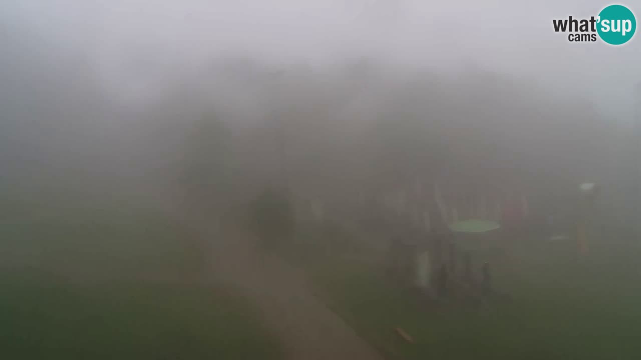Webcam Pohorje Trikotna Jasa | Poštela