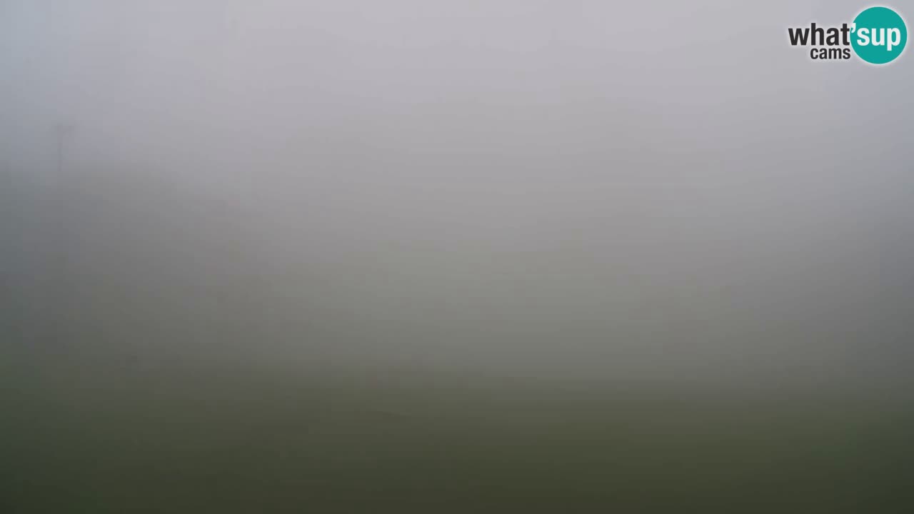 Webcam Pohorje Trikotna Jasa | Poštela
