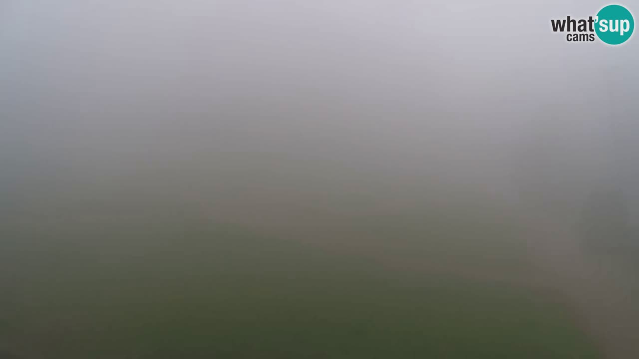Web Camera Pohorje Trikotna Jasa | Poštela