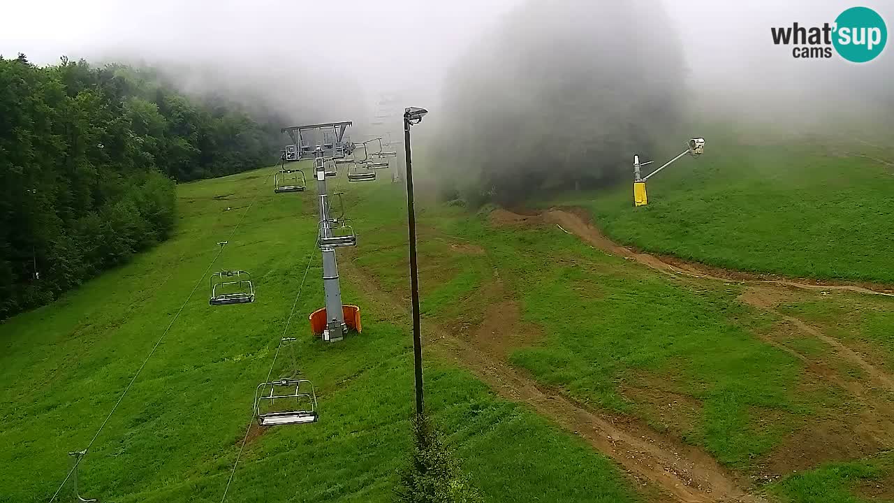 Web Camera Pohorje Trikotna Jasa | Poštela