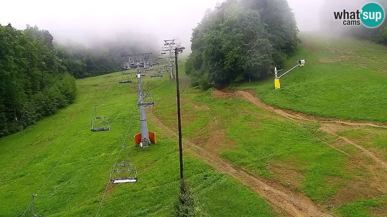 Webcam Pohorje Trikotna Jasa | Poštela