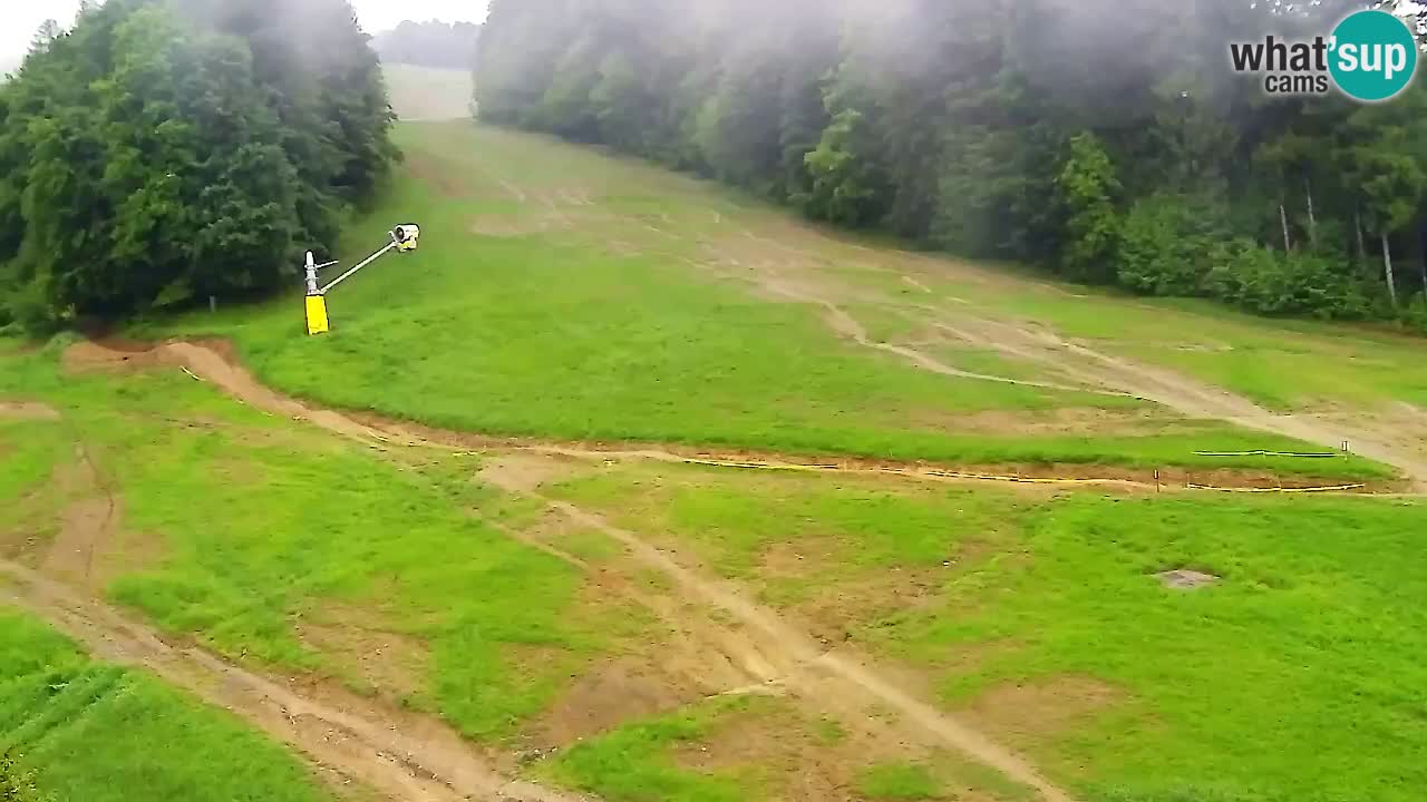 Web Camera Pohorje Trikotna Jasa | Poštela