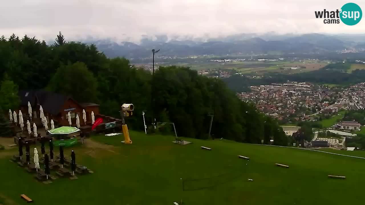 Webcam Pohorje Trikotna Jasa | Poštela