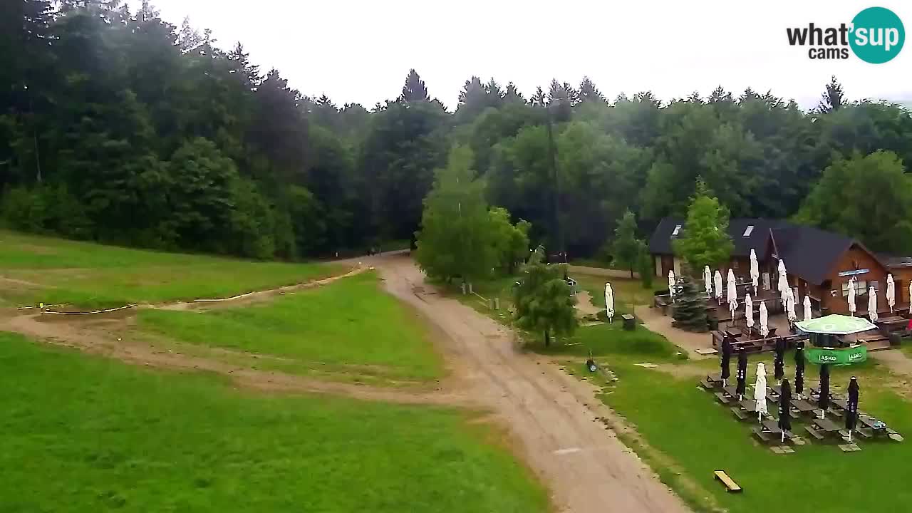 Web Camera Pohorje Trikotna Jasa | Poštela