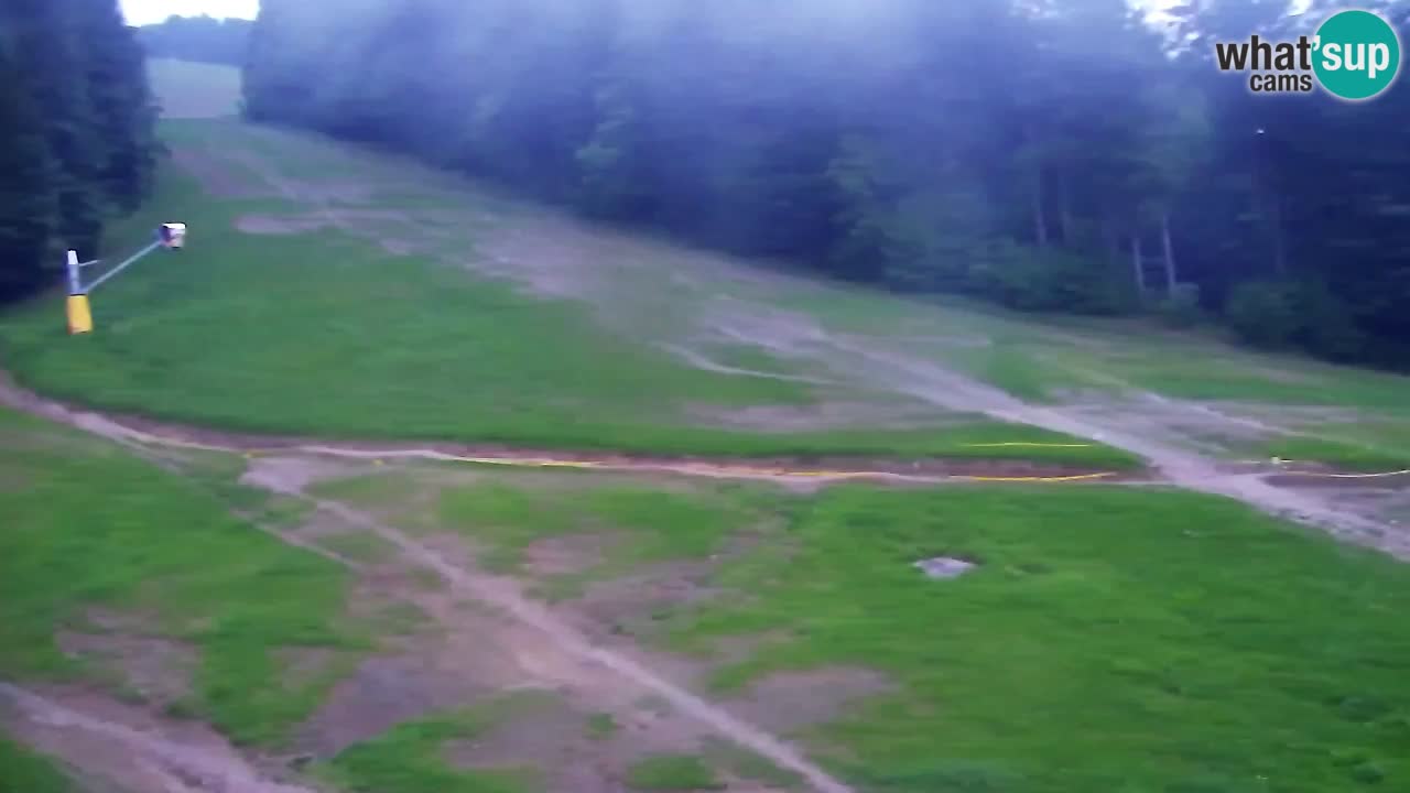Web kamera Pohorje Trikotna Jasa | Poštela