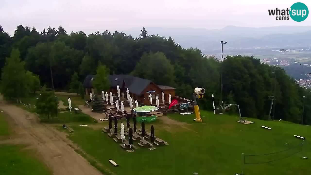 Webcam Pohorje Trikotna Jasa | Poštela