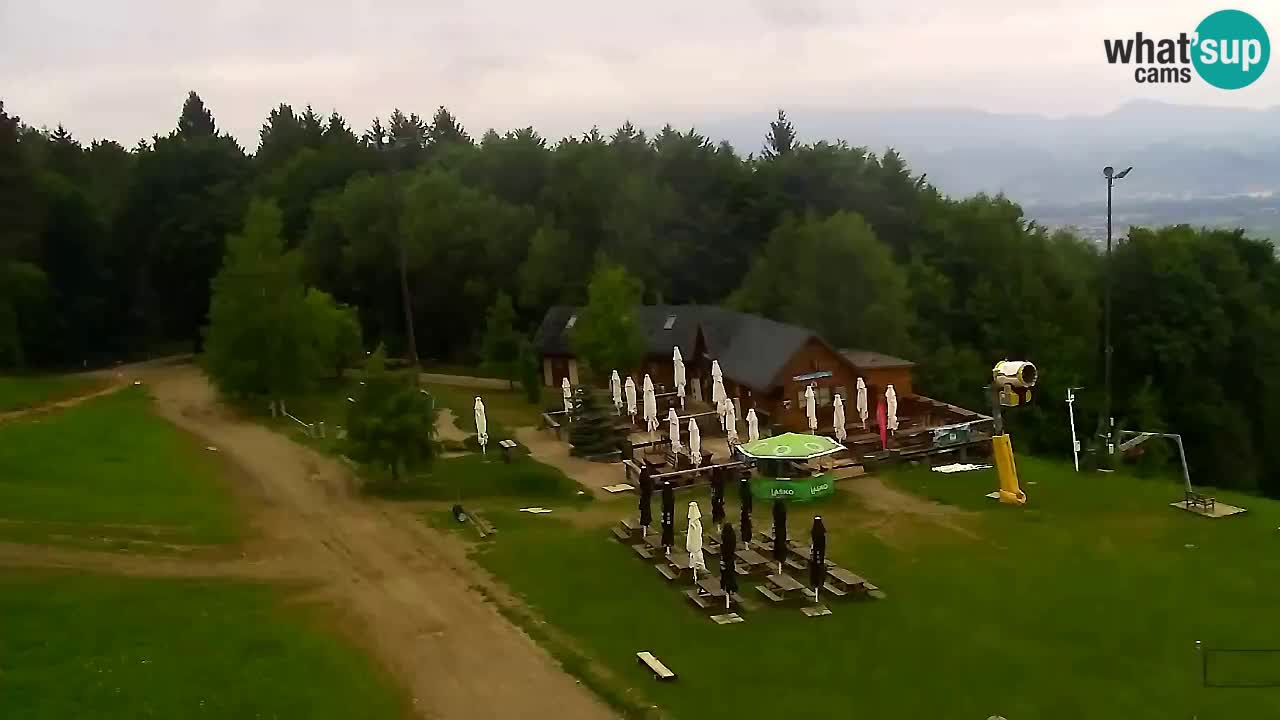 Webcam Pohorje Trikotna Jasa | Poštela
