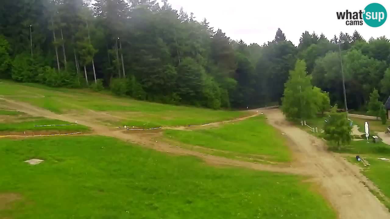 Web Camera Pohorje Trikotna Jasa | Poštela
