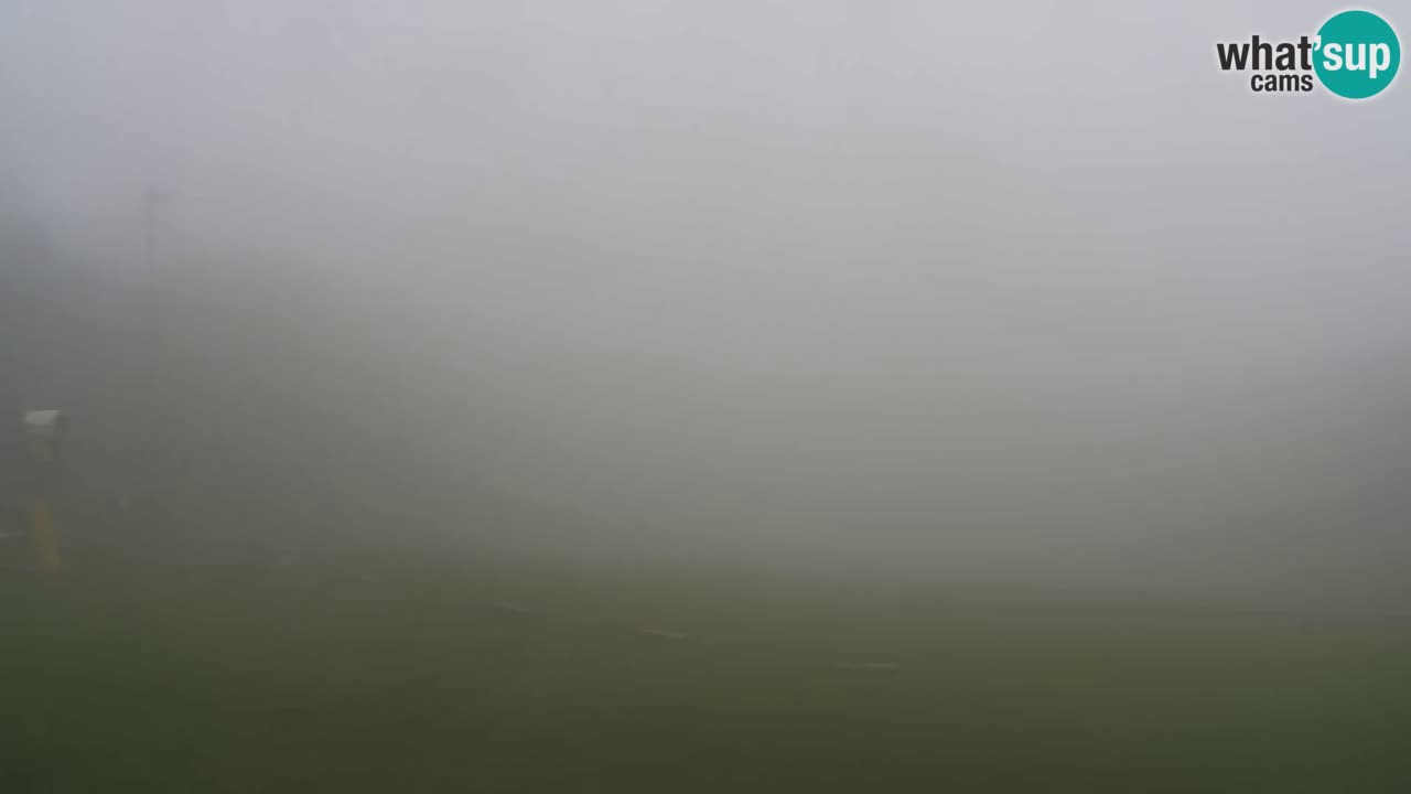 Web Camera Pohorje Trikotna Jasa | Poštela