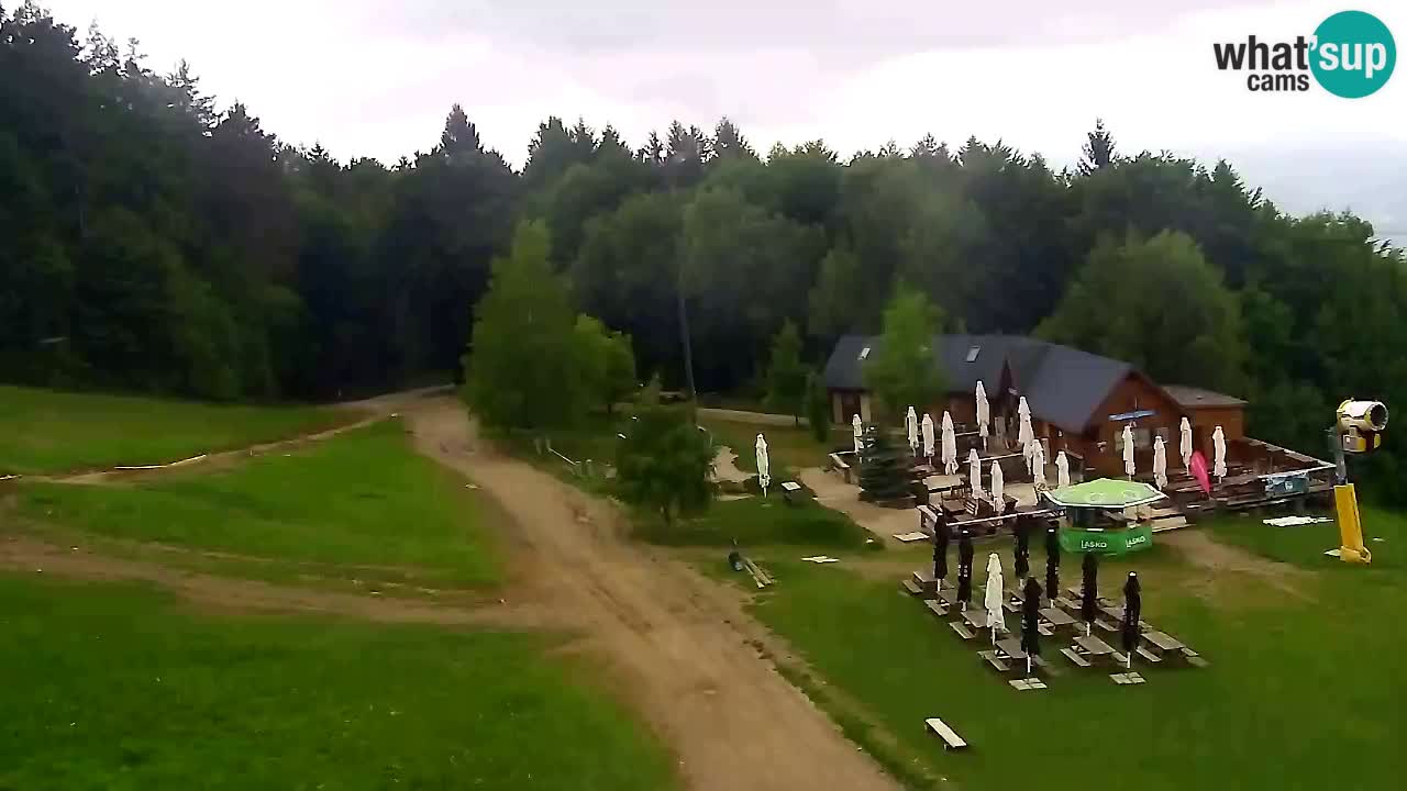 Webcam Pohorje Trikotna Jasa | Poštela