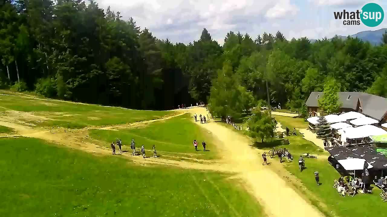 Webcam Pohorje Trikotna Jasa | Poštela