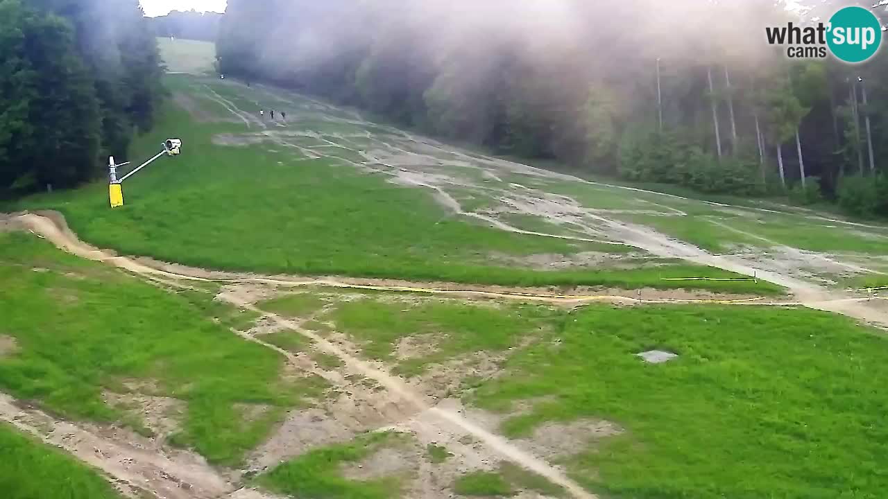 Spletna Kamera Pohorje Trikotna Jasa | Poštela
