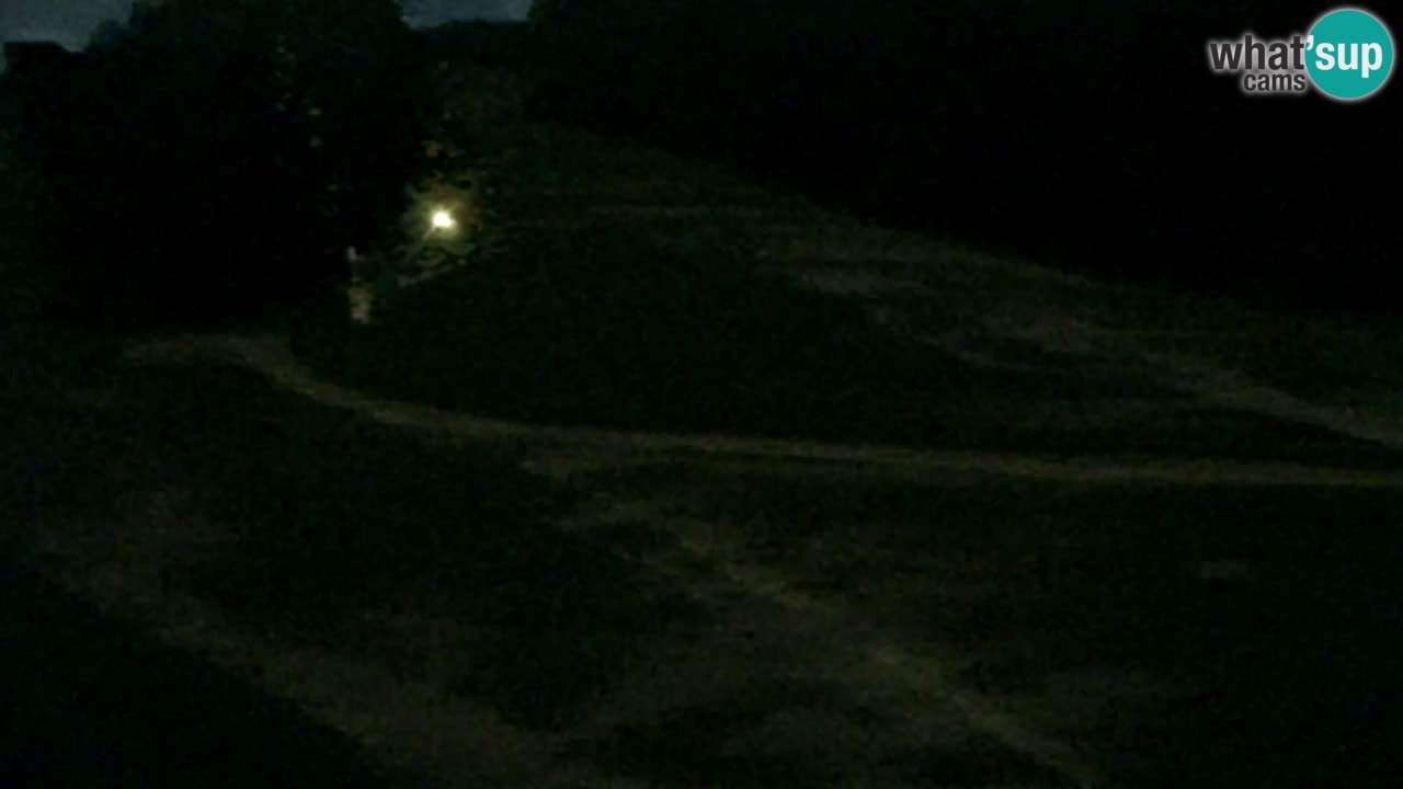 Webcam Pohorje Trikotna Jasa | Poštela