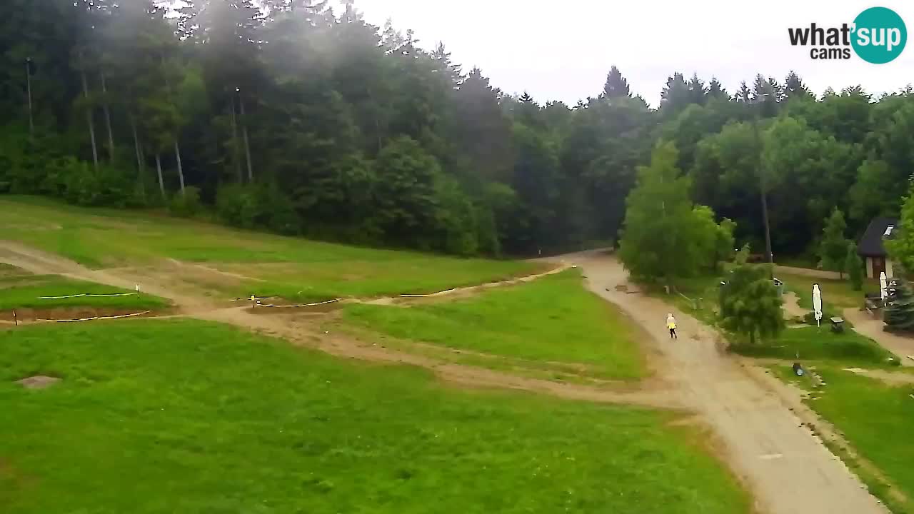 Webcam Pohorje Trikotna Jasa | Poštela