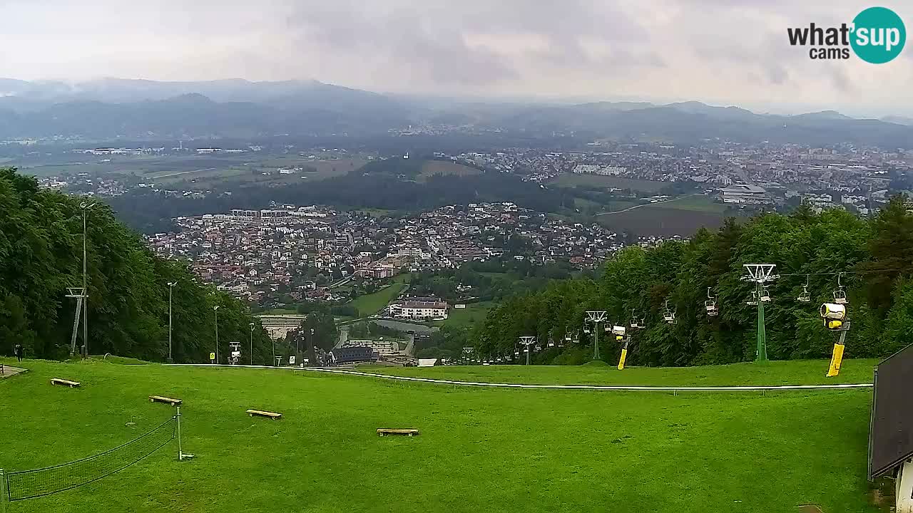 Webcam Pohorje Trikotna Jasa | Poštela