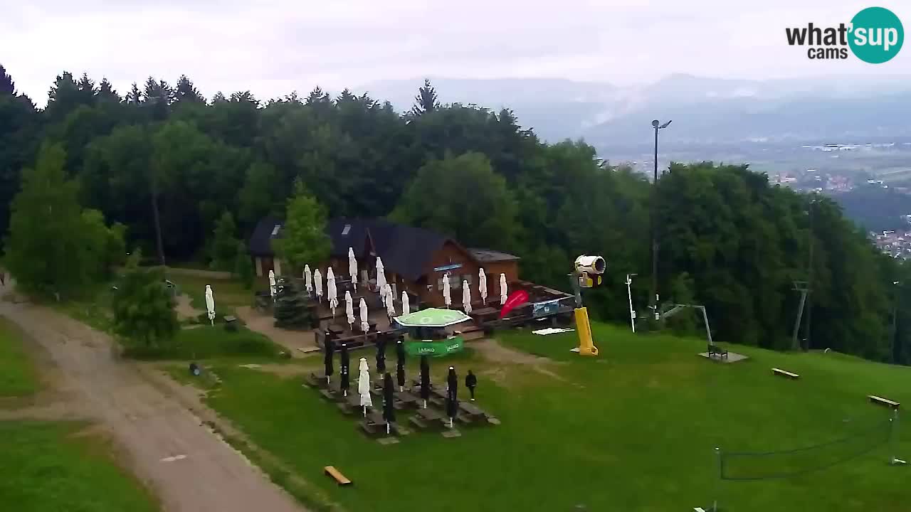 Web Camera Pohorje Trikotna Jasa | Poštela