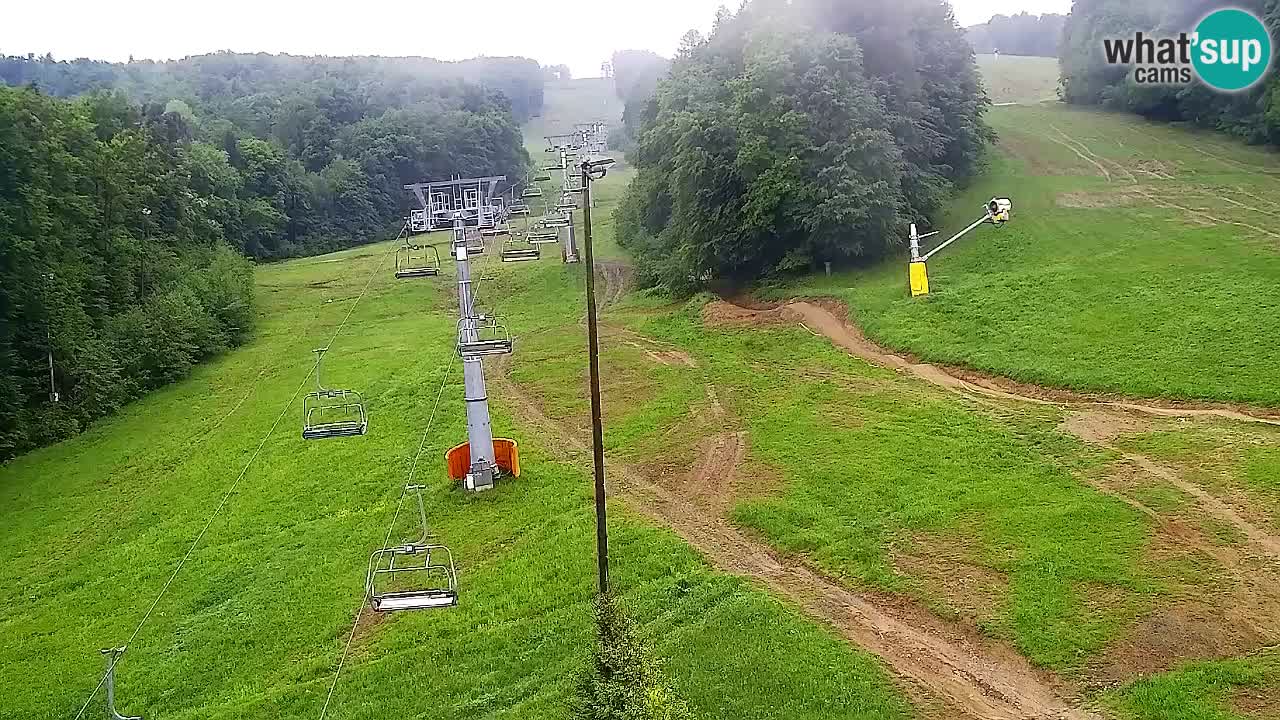 Web Camera Pohorje Trikotna Jasa | Poštela