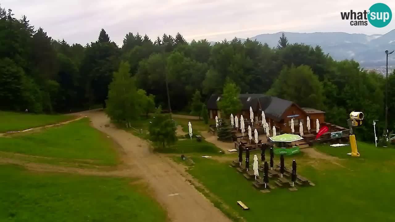 Webcam Pohorje Trikotna Jasa | Poštela