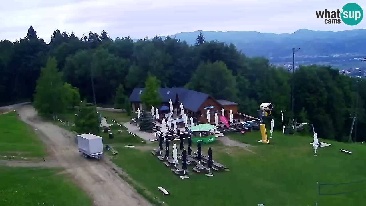 Web Camera Pohorje Trikotna Jasa | Poštela