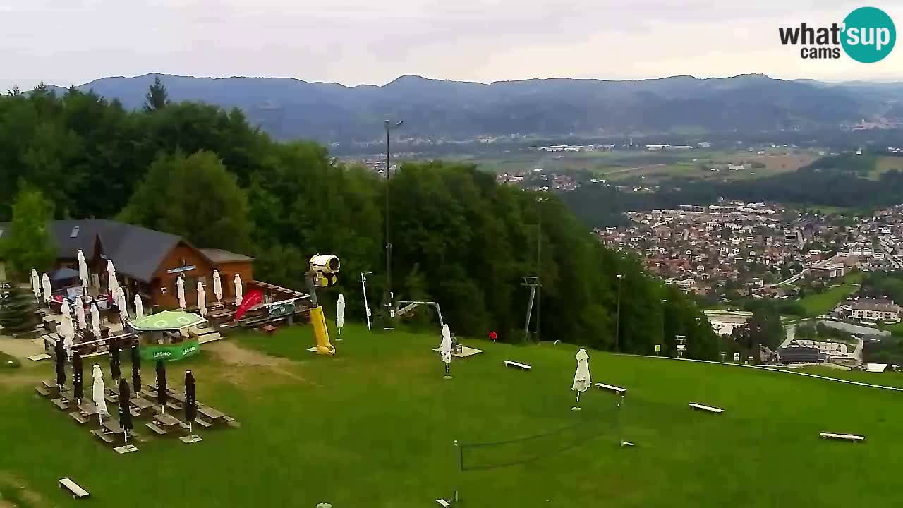 Webcam Pohorje Trikotna Jasa | Poštela