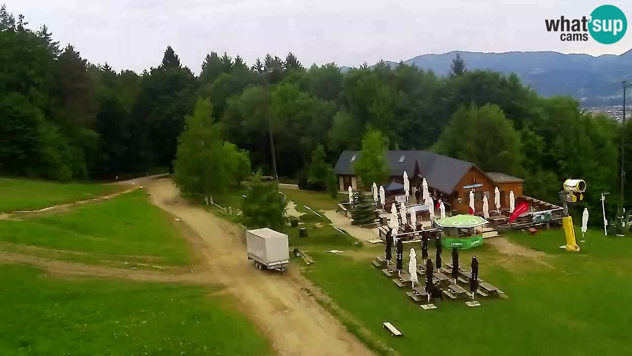 Webcam Pohorje Trikotna Jasa | Poštela