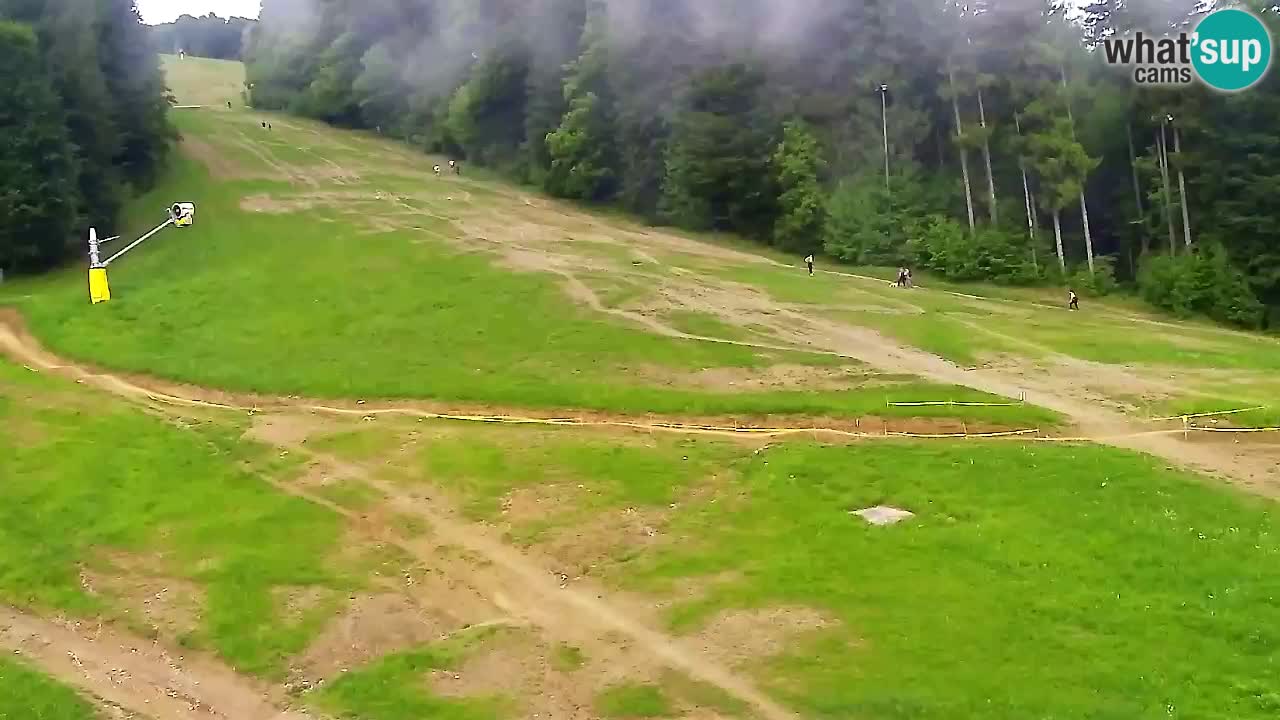 Webcam Pohorje Trikotna Jasa | Poštela