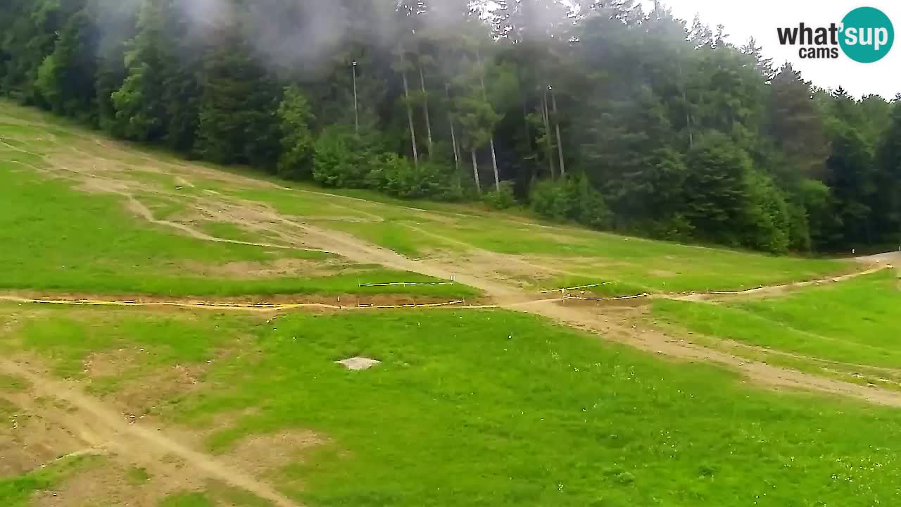 Spletna Kamera Pohorje Trikotna Jasa | Poštela