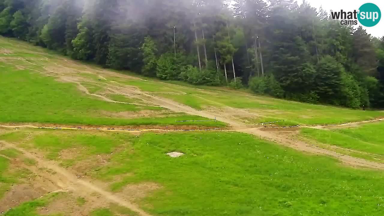 Webcam Pohorje Trikotna Jasa | Poštela