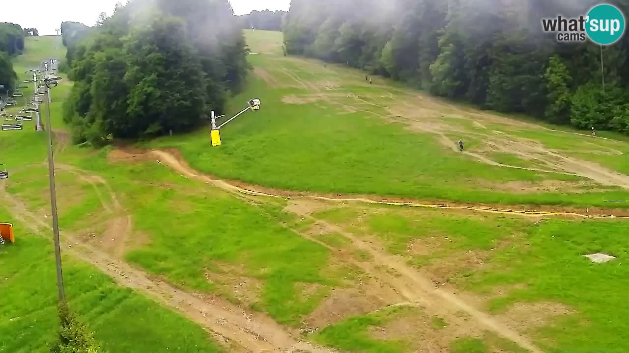 Webcam Pohorje Trikotna Jasa | Poštela