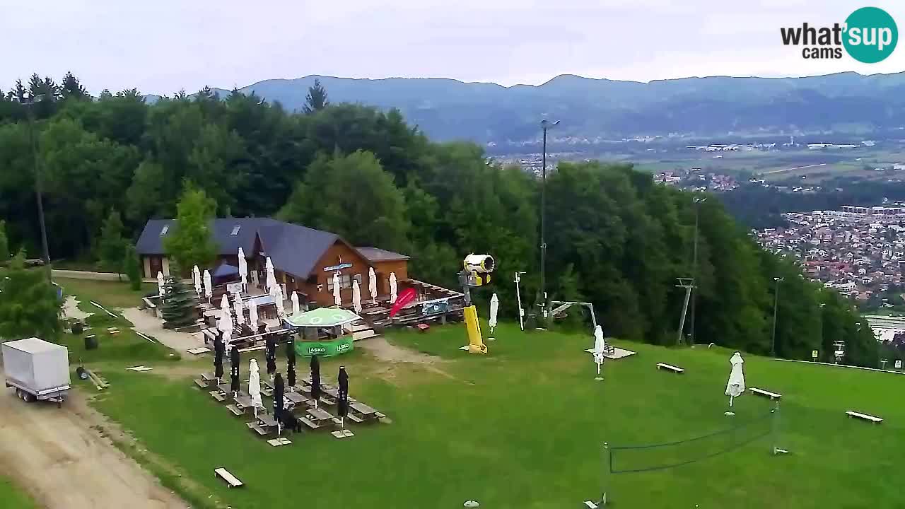 Webcam Pohorje Trikotna Jasa | Poštela