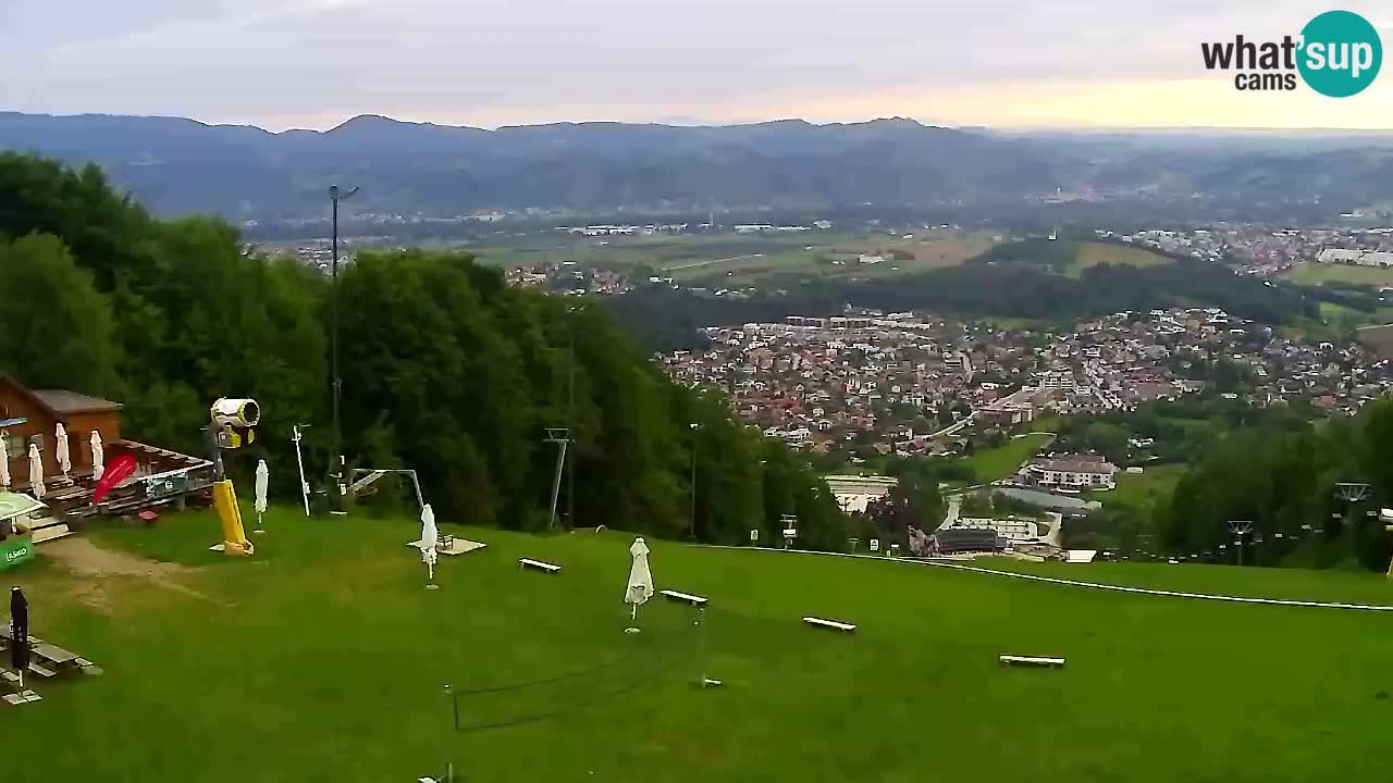 Webcam Pohorje Trikotna Jasa | Poštela