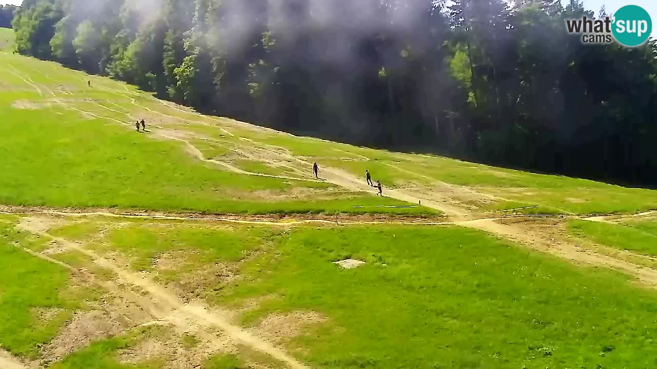 Web Camera Pohorje Trikotna Jasa | Poštela