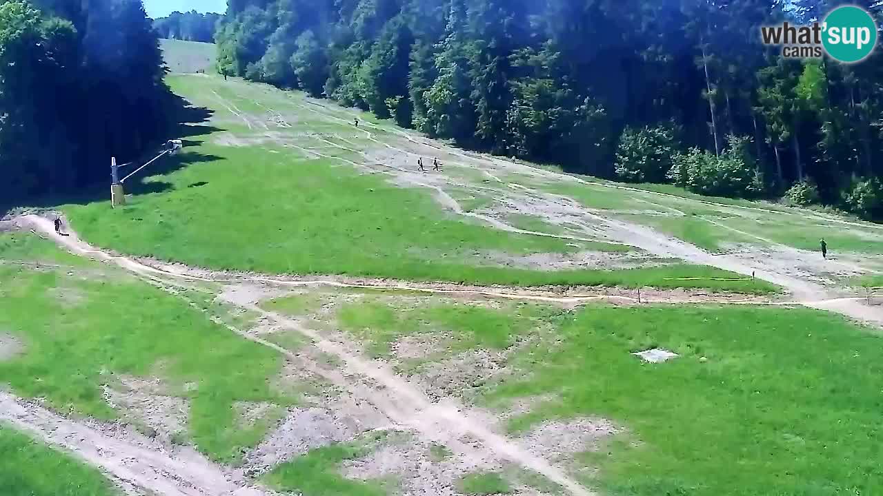 Webcam Pohorje Trikotna Jasa | Poštela