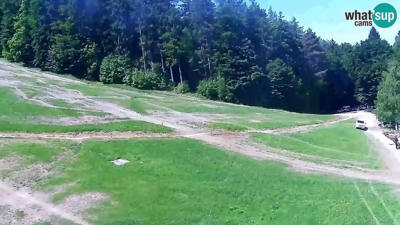 Webcam Pohorje Trikotna Jasa | Poštela