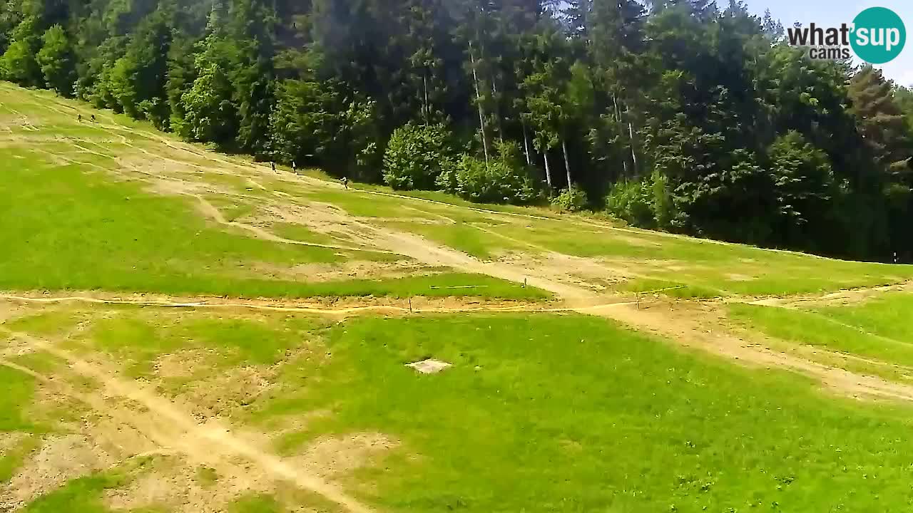 Webcam Pohorje Trikotna Jasa | Poštela