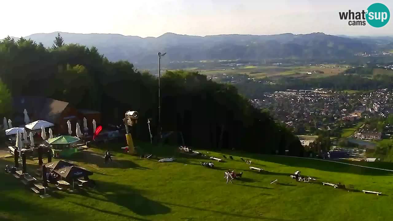 Webcam Pohorje Trikotna Jasa | Poštela