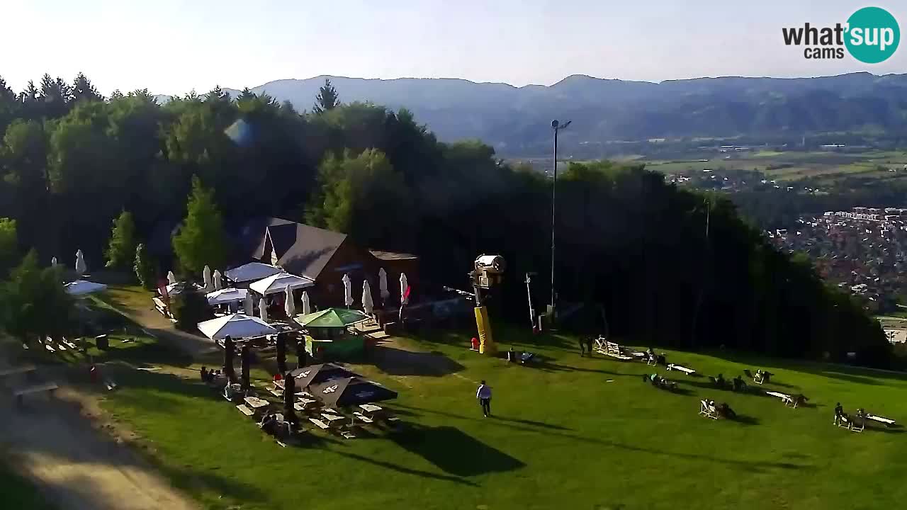 Webcam Pohorje Trikotna Jasa | Poštela