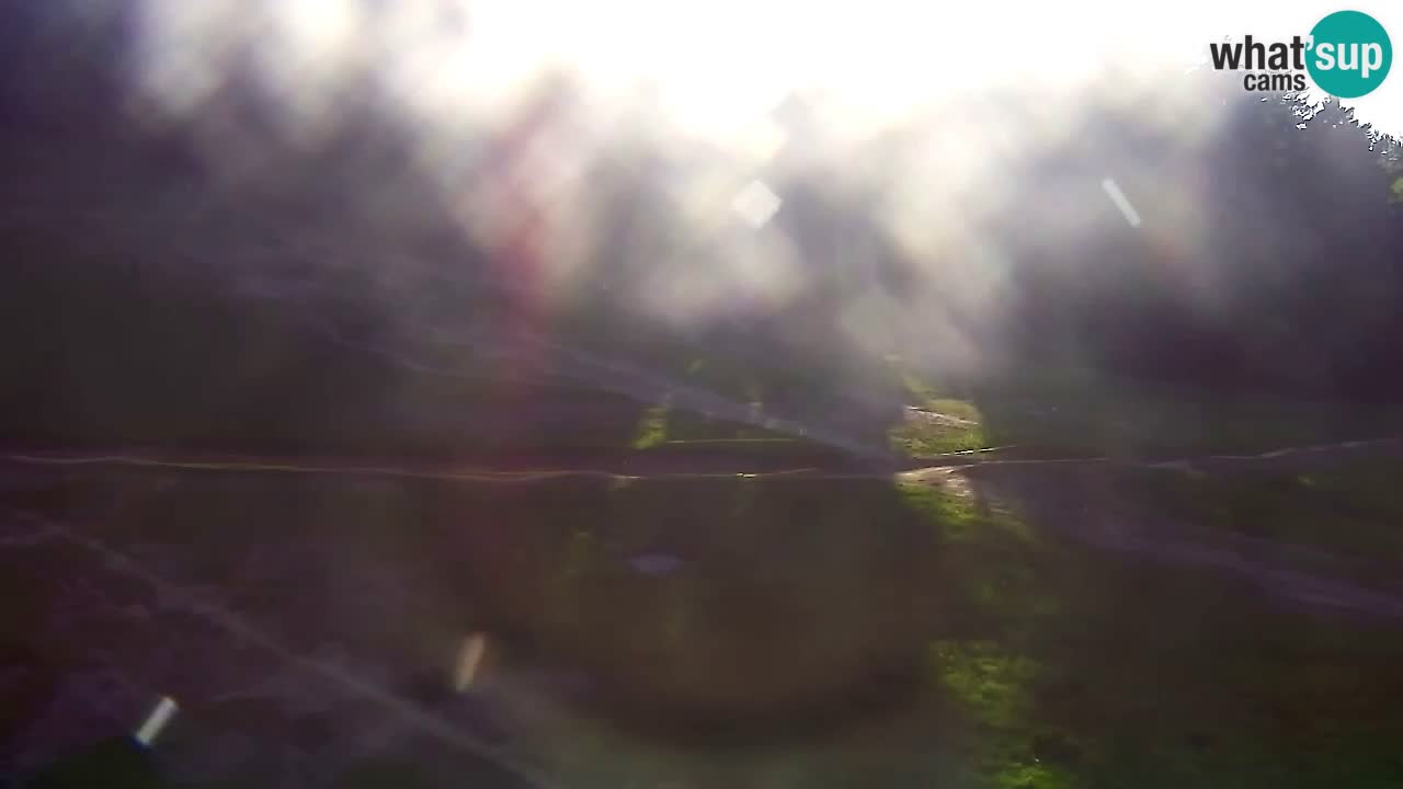 Web Camera Pohorje Trikotna Jasa | Poštela